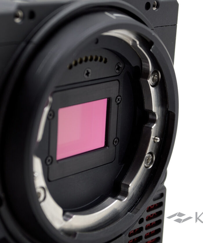 mavo_body6 mavo_body6